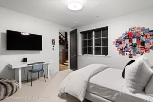 289 Exhibition Ln, Aspen, CO 81611 - Photo 24