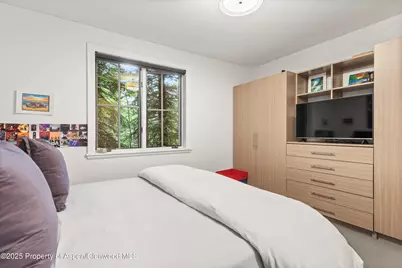 289 Exhibition Lane, Aspen, CO 81611 - Photo 22
