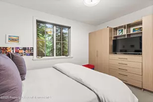 289 Exhibition Ln, Aspen, CO 81611 - Photo 22