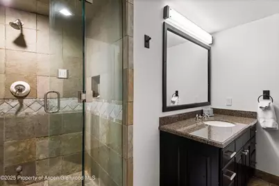289 Exhibition Lane, Aspen, CO 81611 - Photo 24