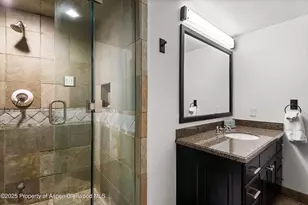 289 Exhibition Ln, Aspen, CO 81611 - Photo 24