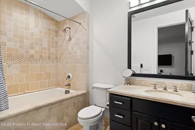 289 Exhibition Lane, Aspen, CO 81611 - Photo 26