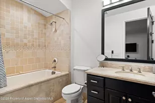 289 Exhibition Ln, Aspen, CO 81611 - Photo 26