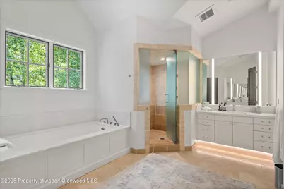 289 Exhibition Lane, Aspen, CO 81611 - Photo 12