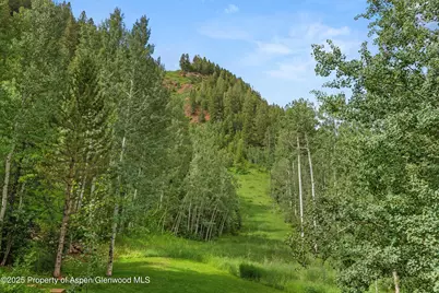 289 Exhibition Lane, Aspen, CO 81611 - Photo 44