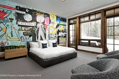 289 Exhibition Lane, Aspen, CO 81611 - Photo 20