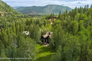 289 Exhibition Ln, Aspen, CO 81611 - Photo 42