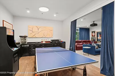 289 Exhibition Lane, Aspen, CO 81611 - Photo 22