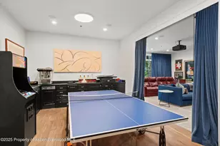 289 Exhibition Ln, Aspen, CO 81611 - Photo 22