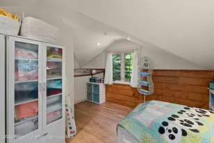 389 Elk Mountain Dr, Redstone, CO 81623 - Photo 46