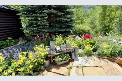 389 Elk Mountain Drive, Redstone, CO 81623 - Photo 62