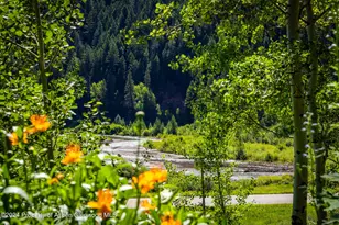 389 Elk Mountain Dr, Redstone, CO 81623 - Photo 20