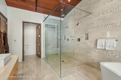 233 E Cooper Avenue #301, Aspen, CO 81611 - Photo 16