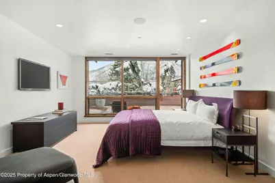 233 E Cooper Avenue #301, Aspen, CO 81611 - Photo 18