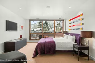 233 E Cooper Ave, Aspen, CO 81611 - Photo 18