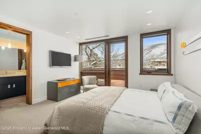 233 E Cooper Avenue #301, Aspen, CO 81611 - Photo 20