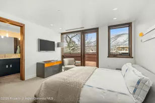 233 E Cooper Ave, Aspen, CO 81611 - Photo 20