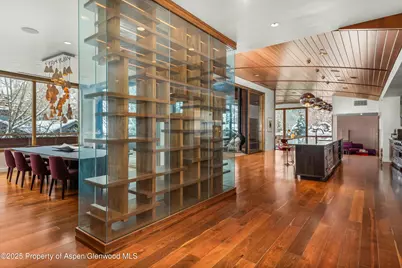 233 E Cooper Avenue #301, Aspen, CO 81611 - Photo 4