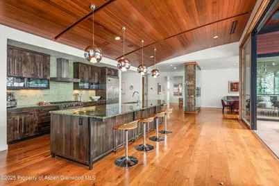 233 E Cooper Avenue #301, Aspen, CO 81611 - Photo 6