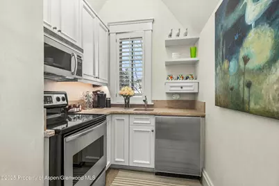 99 Steeplechase Drive, Aspen, CO 81611 - Photo 48