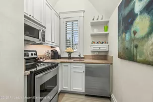 99 Steeplechase Dr, Aspen, CO 81611 - Photo 48