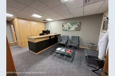 420 E Main Street #210, Aspen, CO 81611 - Photo 4