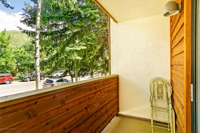 935 E Hopkins Avenue #6, Aspen, CO 81611 - Photo 8