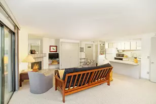 935 E Hopkins Ave, Aspen, CO 81611 - Photo 14