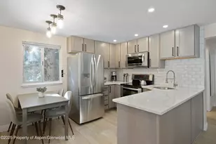 940 Waters Ave, Aspen, CO 81612 - Photo 2