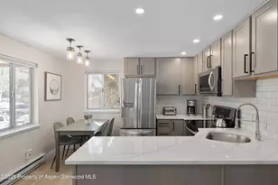 940 Waters Ave, Aspen, CO 81612 - Photo 1