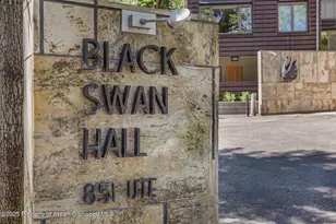 851 Ute Ave, Aspen, CO 81611 - Photo 44