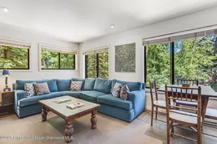 851 Ute Ave, Aspen, CO 81611 - Photo 26