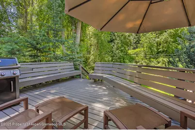 851 Ute Avenue #B, Aspen, CO 81611 - Photo 14