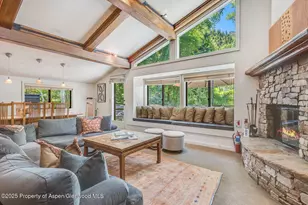 851 Ute Ave, Aspen, CO 81611 - Photo 10