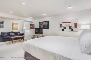 851 Ute Ave, Aspen, CO 81611 - Photo 52