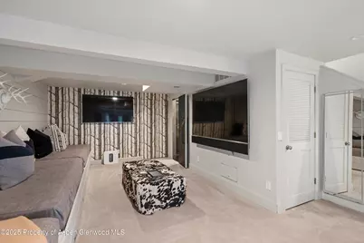 100 N 8th Street #18, Aspen, CO 81611 - Photo 20