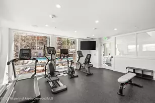 360 Wood Rd, Snowmass Village, CO 81615 - Photo 18