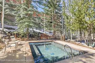 360 Wood Rd, Snowmass Village, CO 81615 - Photo 24