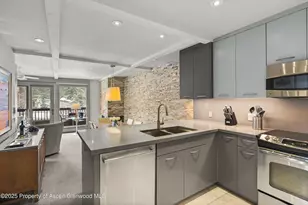 610 S W End St, Aspen, CO 81611 - Photo 8