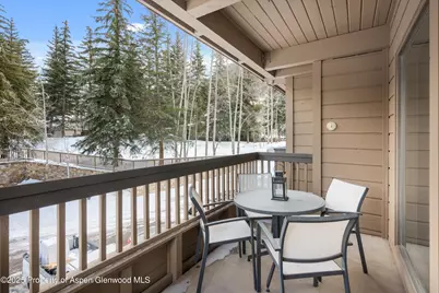 610 S West End Street #K201, Aspen, CO 81611 - Photo 10