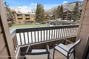 610 S W End St, Aspen, CO 81611 - Photo 20