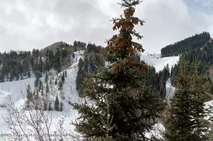 119 E Cooper Ave, Aspen, CO 81611 - Photo 10