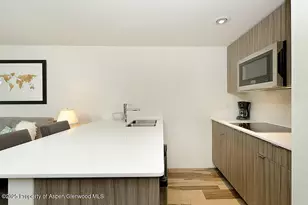 119 E Cooper Ave, Aspen, CO 81611 - Photo 4