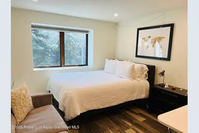 119 E Cooper Avenue #27, Aspen, CO 81611 - Photo 2