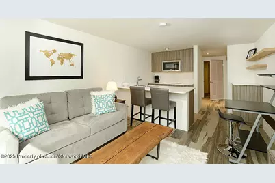 119 E Cooper Avenue #27, Aspen, CO 81611 - Photo 2
