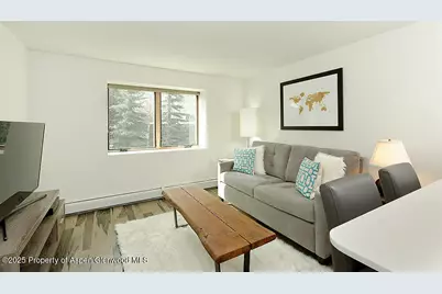 119 E Cooper Avenue #27, Aspen, CO 81611 - Photo 1