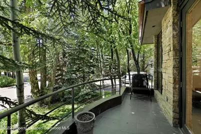 736 W Smuggler Street, Aspen, CO 81611 - Photo 22
