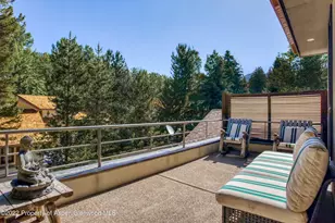 736 W Smuggler St, Aspen, CO 81611 - Photo 26