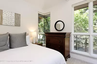 736 W Smuggler Street, Aspen, CO 81611 - Photo 24