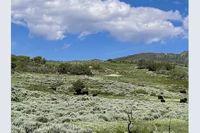 22000 P77 Rd Road, Cimarron, CO 81220 - Photo 28